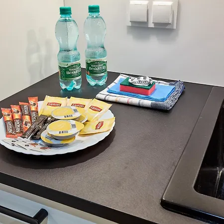 Janickiego Homely Appartement Poznań